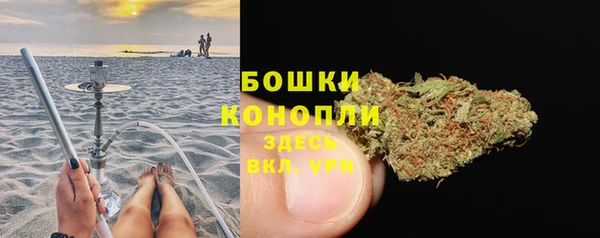 МДПВ Инсар