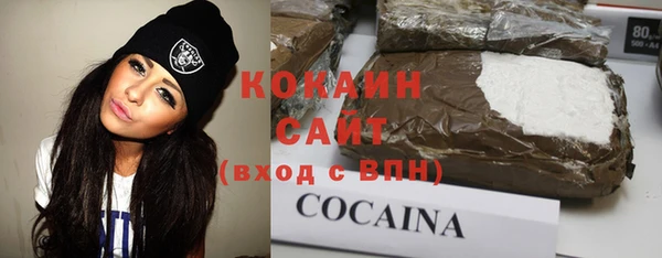 МДПВ Инсар