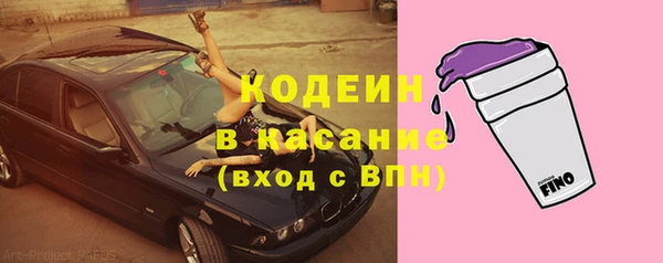 круглые Иннополис