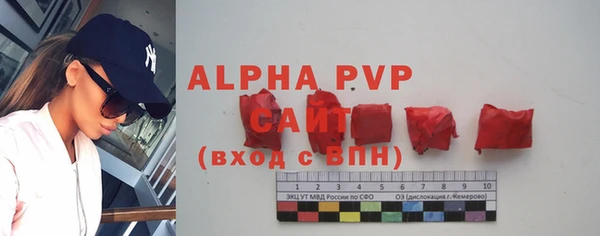 круглые Иннополис
