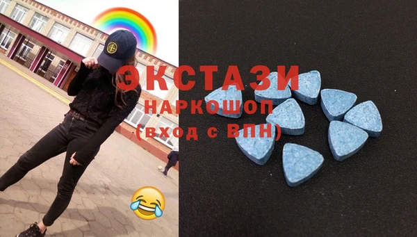 МДПВ Инсар