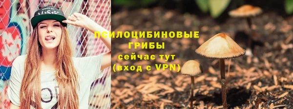 МДПВ Инсар