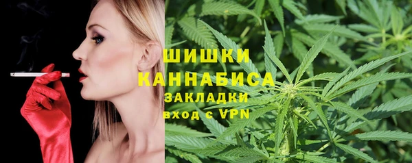 МДПВ Инсар