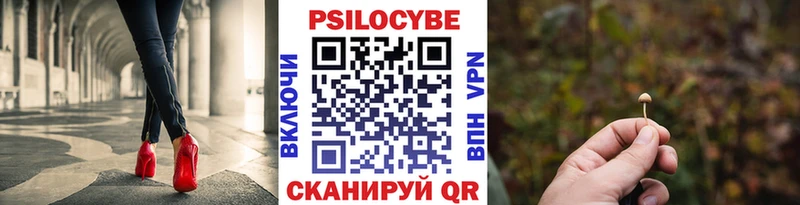 Купить где  Воскресенск  Псилоцибиновые грибы Psilocybe 